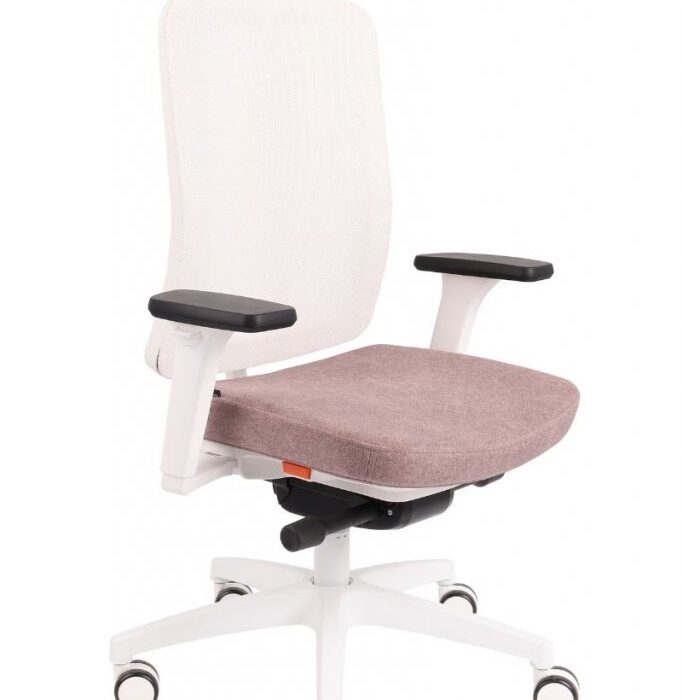 ErgoJunior WS