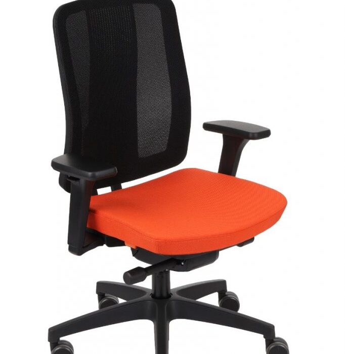 ErgoJunior BS